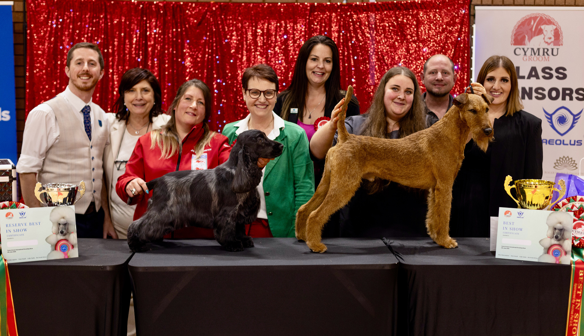 Cymru Groom winners and sponsors at the show