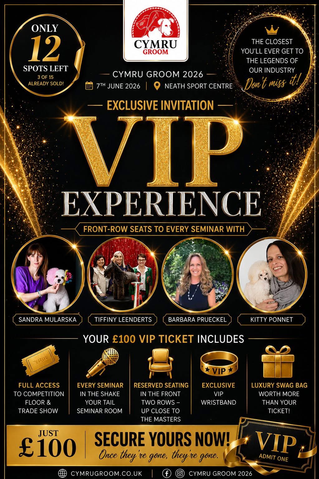 VIP Experience poster with the four seminar speakers